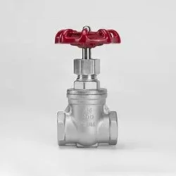Nneɛma bɛn na ɛwɔ apon ano valve ahorow no mu?