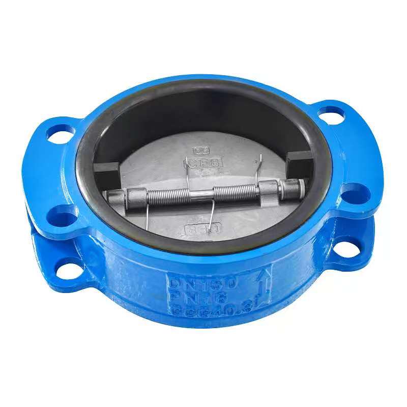 Dɛn ne nsɛm titiriw a ɛbɛma woapaw check valves .