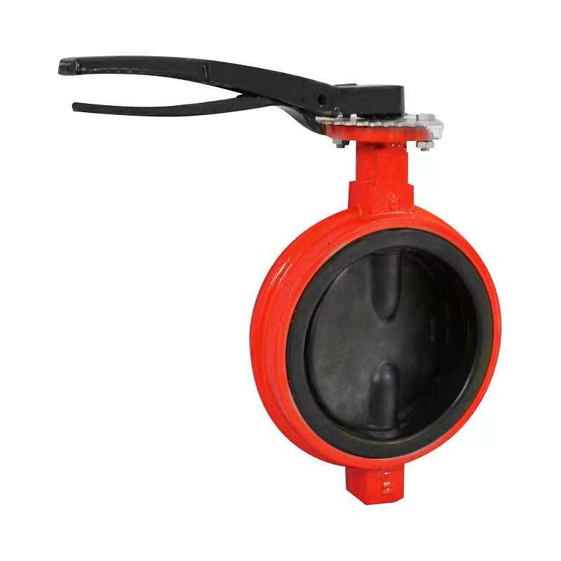 Dɛn nti na butterfly valve ahorow no taa twetwe no?