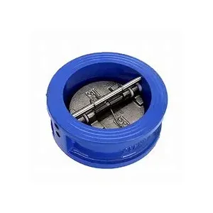 Dadeɛ a wɔde ayɛ ntontom check valve .