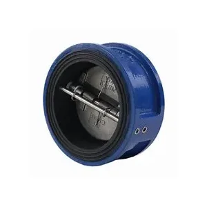 Ɔtare a wɔde dade ayɛ a wɔde rɔba ayɛ mu ma check valve .