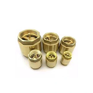 Kɔbere spring threaded check valve .