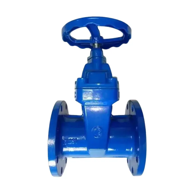 Ductile dade a wɔde asie abaa soft seal flange gate valve .