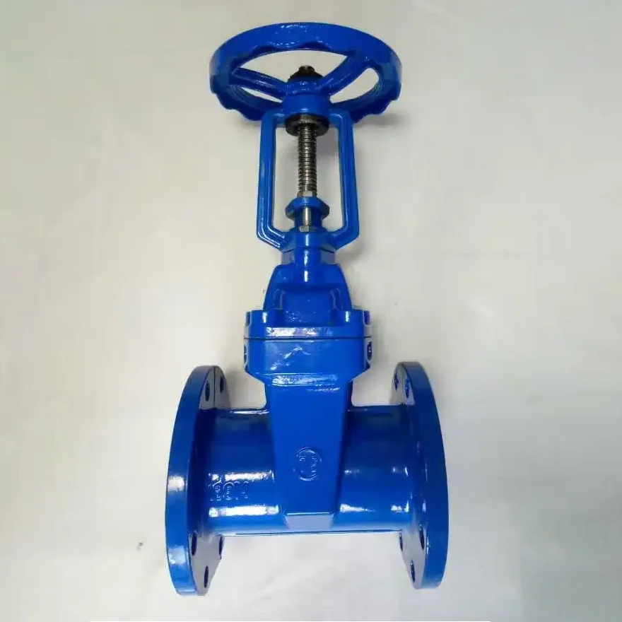 Ductile iron a ɛbue dua no mu a ɛyɛ mmerɛw flange gate valve .