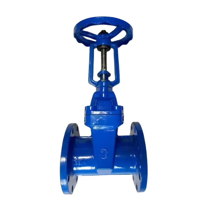 Ductile iron a ɛbue dua no mu a ɛyɛ mmerɛw flange gate valve .